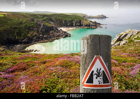 La bruyère et l'ajonc la floraison sur la falaise à Zennor dans Cornwall, UK, regarder sur Pendour Cove. Banque D'Images