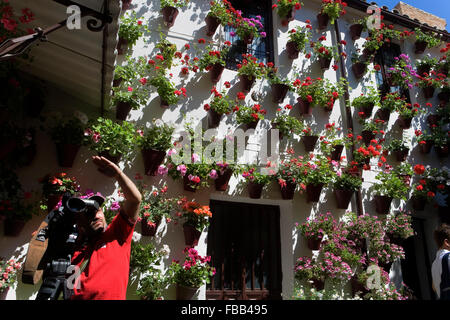 Cordoba.L'Andalousie. Espagne : Une cour typique, dans Martin Ash Street à Caballerizas Reales street Banque D'Images