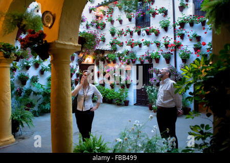 Cordoba.L'Andalousie. Espagne : Une cour typique, dans Martin Ash Street à Caballerizas Reales street Banque D'Images