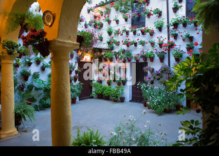 Cordoba.L'Andalousie. Espagne : Une cour typique, dans Martin Ash Street à Caballerizas Reales street Banque D'Images