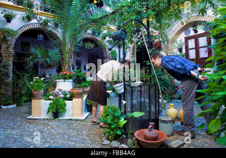 Cordoba.L'Andalousie. Espagne : Une cour typique, dans 5 Parras street Banque D'Images