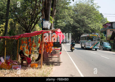 Une rangée d'étals de fruits oranges importées à côté de l'autoroute A1 (Autoroute de Colombo-Kandy0 au Sri Lanka. Banque D'Images