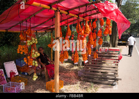 Une rangée d'étals de fruits oranges importées à côté de l'autoroute A1 (Autoroute de Colombo-Kandy0 au Sri Lanka. Banque D'Images