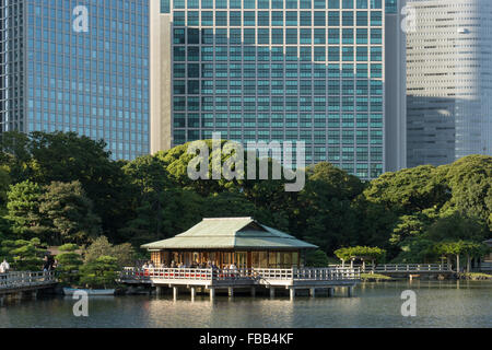 Jardin Hamarikyu et thé dans Tokyo Japon Banque D'Images