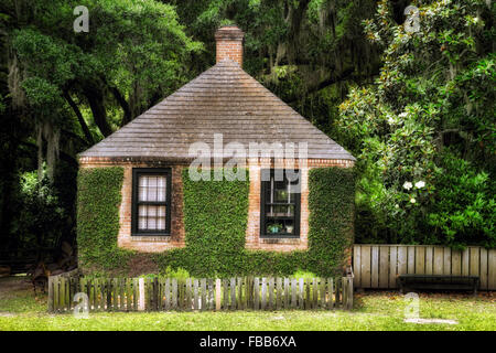 Petit bâtiment couvert de lierre épais parmi la végétation de marais, Middleton Place Plantation, Summerville, Caroline du Sud Banque D'Images