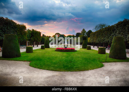 Arbustes topiaires dans un jardin du palais au coucher du soleil, Schonnbrun Vienne, Autriche Banque D'Images