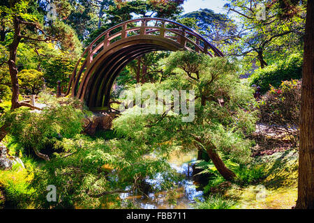 Low Angle View of a Lune Pont sur une petite crique dans un jardin japonais, le parc du Golden Gate, San Francisco, Californie Banque D'Images