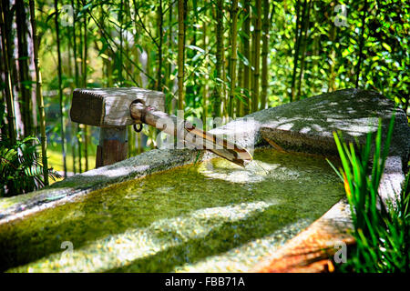 Vue rapprochée d'une pipe du bambou et du bassin en granit avec Crystal Clear l'eau pure qui coule dans un jardin japonais Banque D'Images