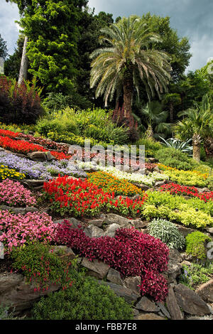 Low Angle View of a rock coloré Jardin, Villa Carlotta, Tremezzo, Lac de Côme, Italie Banque D'Images