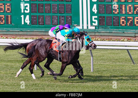 Deux chevaux jockeys avec Calibrage tête-à-tête de course à Monmouth Park Race Track, Oceanport, New Jersey Banque D'Images