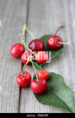 Close up de Prunus avium cerises ou connu sous le nom de Lapin cerises sur planche de bois Banque D'Images