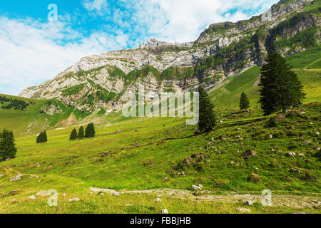 Paysage alpin typiquement européen, les pâturages et les montagnes Banque D'Images