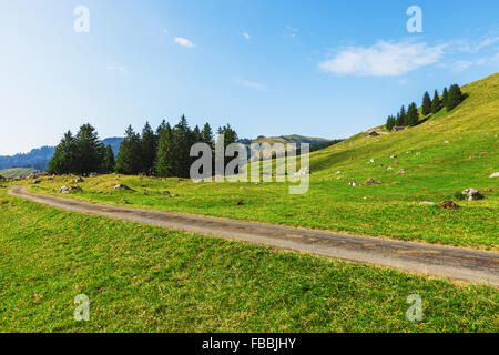 Paysage alpin typiquement européen, les pâturages et les montagnes Banque D'Images