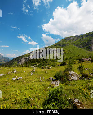 Paysage alpin typiquement européen, les pâturages et les montagnes Banque D'Images