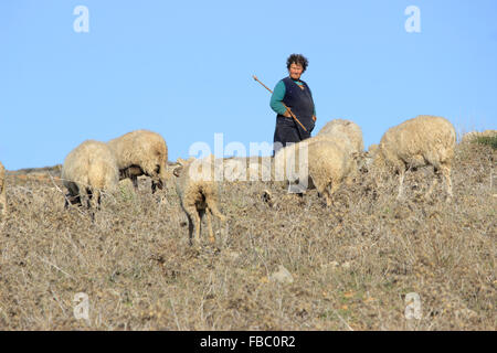 Bergère grecque garde un troupeau de moutons, transportant un escroc, dans le domaine de l'Hephaistia. Lemnos, Grèce. Banque D'Images