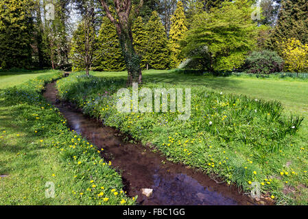 Les fleurs du printemps à l'arboretum Perrow Thorp Banque D'Images