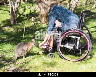 Jeune femme en fauteuil roulant la visite d'un sanctuaire de la faune Banque D'Images