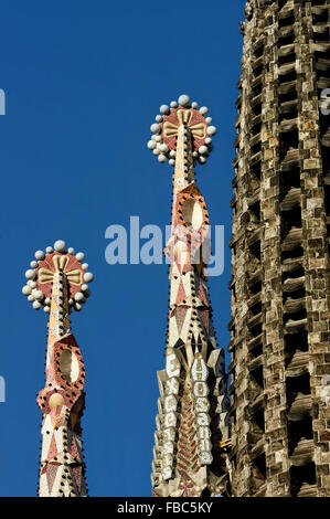 Sagrada Familia. Barcelone. Le Catalan. L'Espagne. L'Europe Banque D'Images