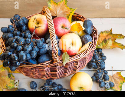 Chasse d'automne aux saveurs juteuses de raisins mûrs, prunes et pommes dans un panier avec des feuilles séchées Banque D'Images