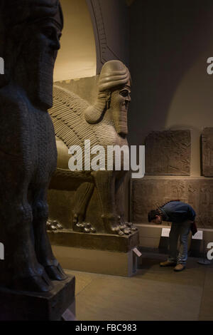 Visiteur musulmane prend une photo avec un smartphone d'une paire de esprits protecteurs assyrienne - un Ugallu - ou grand lion, précédé par ce qui peut être une maison de Dieu au sujet de 700-692BC de l'ancienne ville de Ninive, Banque D'Images