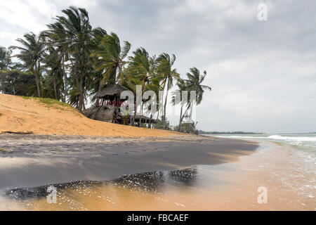 Côte sauvage d'Arugam Bay, Province Orientale, au Sri Lanka Banque D'Images