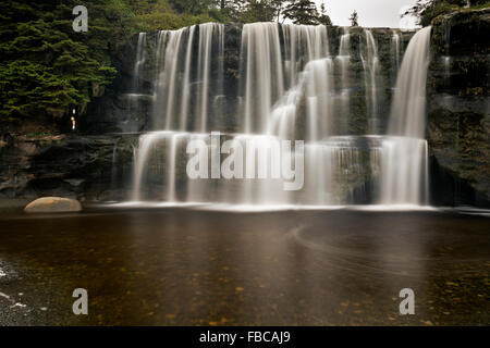 Colombie-britannique - Tsusiat tombe dans le sentier de la côte ouest du parc national Pacific Rim sur l'île de Vancouver. Banque D'Images