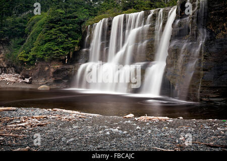 Colombie-britannique - Tsusiat tombe dans le sentier de la côte ouest du parc national Pacific Rim sur l'île de Vancouver. Banque D'Images