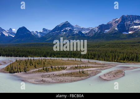 La rivière Athabasca avec l'eau de fonte glaciaire transportant farine de roche en face de montagnes rocheuses, Jasper National Park, Alberta, Canada Banque D'Images