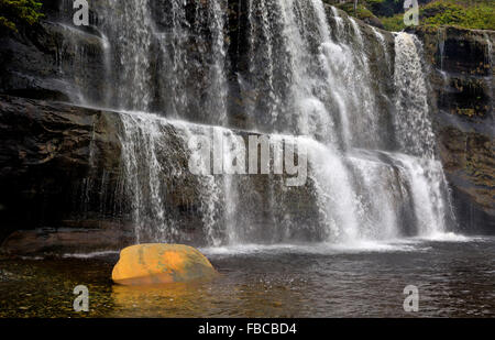 Colombie-britannique - Tsusiat tombe dans le sentier de la côte ouest du parc national Pacific Rim sur l'île de Vancouver. Banque D'Images