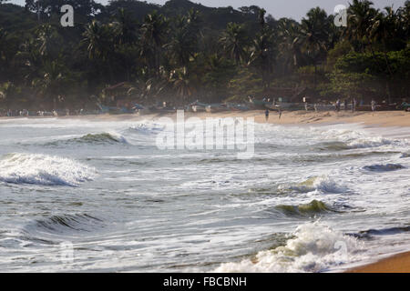 Côte sauvage d'Arugam Bay, district d'Ampara, Sri Lanka, Province de l'Est Banque D'Images