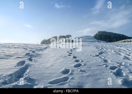 Des traces de pas dans la neige profonde sur une colline au-dessus de Mytholmroyd, un village de West Yorkshire, Angleterre. Banque D'Images