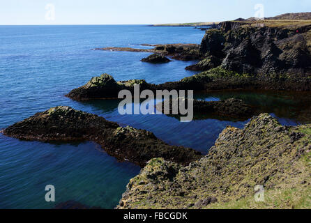 Littoral et falaises de basalte à Arnarstapi, réserve naturelle de la péninsule de Snaefellsness, Islande Banque D'Images