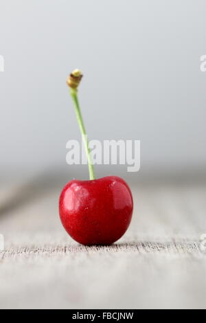 Close up de Prunus avium merisier ou connu sous le nom de lapin sur planche de bois de cerisier Banque D'Images