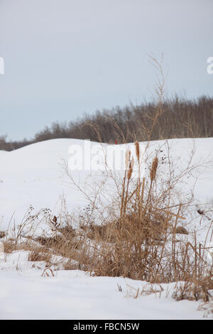 Paysage d'hiver en plein air avec de la neige au sol Banque D'Images