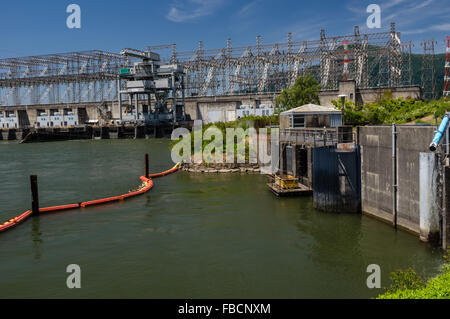 Barrage hydroélectrique du barrage de Bonneville sur le fleuve Columbia. Cascade Locks, Oregon, USA Banque D'Images