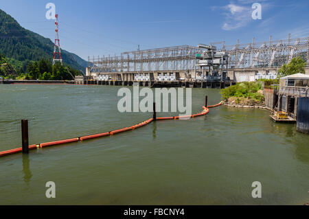 Barrage hydroélectrique du barrage de Bonneville sur le fleuve Columbia. Cascade Locks, Oregon, USA Banque D'Images