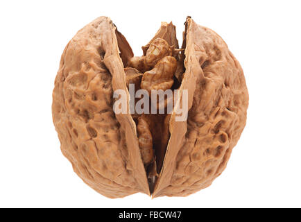 Gros plan fruits noyer isolé sur fond blanc Banque D'Images