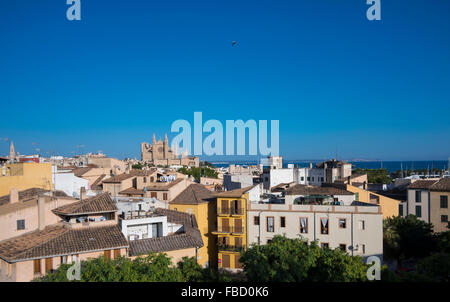 Vues de Palma de Majorque, avec la Cathédrale, Majorque, Îles Baléares, Espagne Banque D'Images