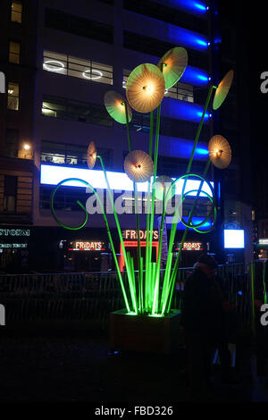 Londres,Angleterre,UK : 14th jan 2015 : TILT, jardin exotique de plantes lumineux géant apportera été tropical à foncé 1nuits à Leicester Square et Regent Street à Londres. Credit : Voir Li/Alamy Live News Banque D'Images