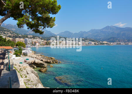 Mer bleue et le ciel de la côte d'Azur avec le pin maritime en été, le Cap Martin Banque D'Images