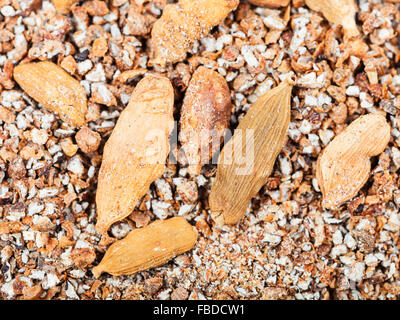 Contexte - L'alimentation et la masse des gousses séchées épices cardamone close up Banque D'Images