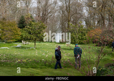 Ince Château nr Saltash Cornouailles,construit sur 1642 et est la demeure de Lord et Lady Boyd avec beau jardin qui sont ouvert au public Banque D'Images