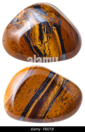 Minéral naturel gem stone - deux Tiger's eye (Tigers eye, oeil de tigre pierres) isolé sur fond blanc close up Banque D'Images