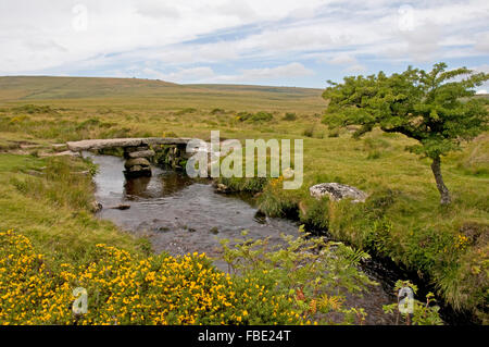 Teign-e-ver Clapper Bridge dans le Nord près de la rivière Teign bas Scorhill, Dartmoor Banque D'Images