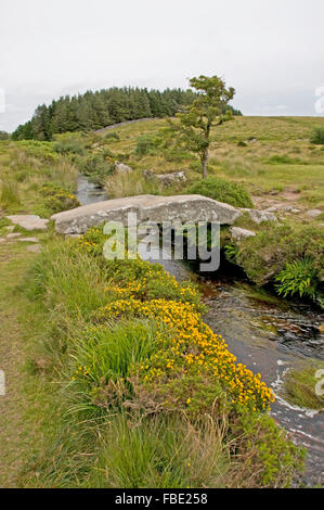 L'ensemble pont Battant Walla Brook près de Scorhill vers le bas, Dartmoor Banque D'Images