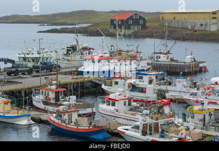 Village de pêcheurs Djupivogur Islande port de plaisance avec bateaux de pêche colorés à port dans l'Est de l'Islande Banque D'Images