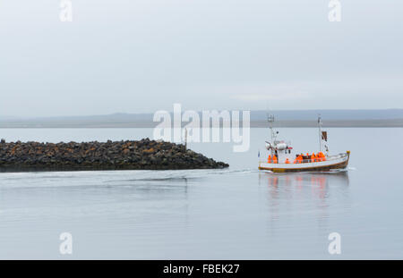 Hvammstangi Islande Islande du bateau d'observation des phoques au quai avec les touristes en orange d'imperméables Banque D'Images