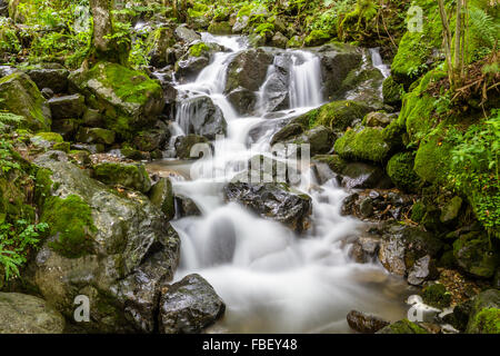 Extension de l'Emden Cascade de la Forêt-Noire, Allemagne Banque D'Images