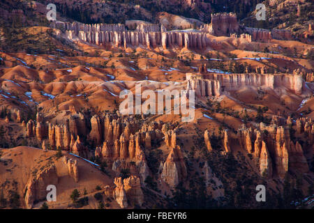 Cheminées, Bryce Canyon Banque D'Images