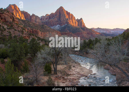 La Sentinelle, Zion National Park, Utah Banque D'Images